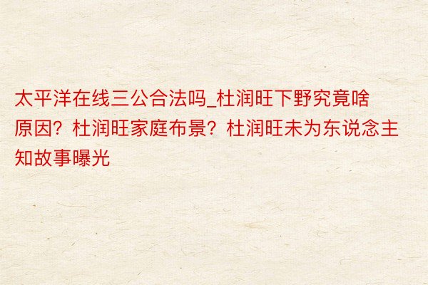 太平洋在线三公合法吗_杜润旺下野究竟啥原因？杜润旺家庭布景？杜润旺未为东说念主知故事曝光