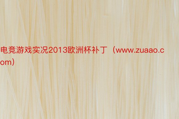 电竞游戏实况2013欧洲杯补丁（www.zuaao.com）