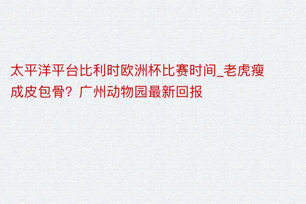 太平洋平台比利时欧洲杯比赛时间_老虎瘦成皮包骨？广州动物园最新回报
