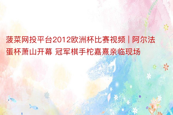 菠菜网投平台2012欧洲杯比赛视频 | 阿尔法蛋杯萧山开幕 冠军棋手柁嘉熹亲临现场