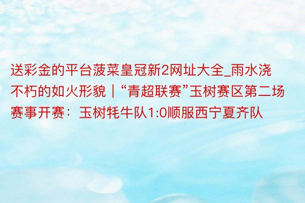 送彩金的平台菠菜皇冠新2网址大全_雨水浇不朽的如火形貌｜“青超联赛”玉树赛区第二场赛事开赛：玉树牦牛队1:0顺服西宁夏齐队