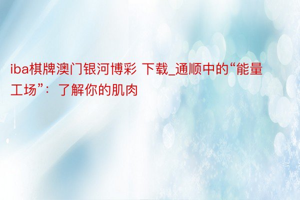 iba棋牌澳门银河博彩 下载_通顺中的“能量工场”：了解你的肌肉