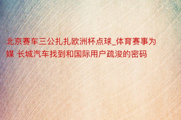北京赛车三公扎扎欧洲杯点球_体育赛事为媒 长城汽车找到和国际用户疏浚的密码