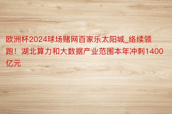 欧洲杯2024球场赌网百家乐太阳城_络续领跑！湖北算力和大数据产业范围本年冲刺1400亿元