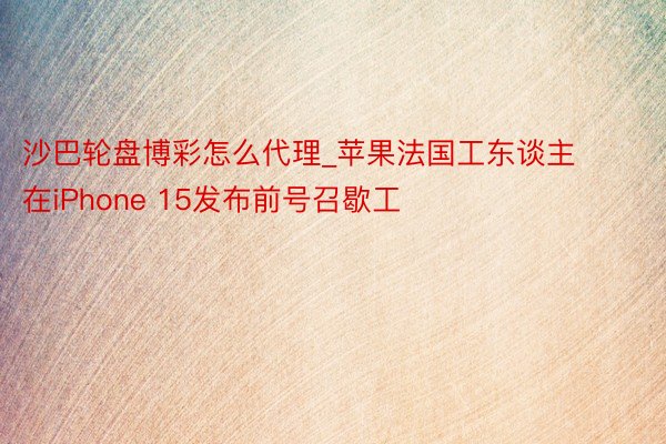沙巴轮盘博彩怎么代理_苹果法国工东谈主在iPhone 15发布前号召歇工