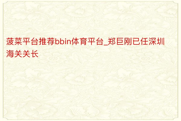 菠菜平台推荐bbin体育平台_郑巨刚已任深圳海关关长