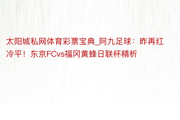 太阳城私网体育彩票宝典_阿九足球：昨再红冷平！东京FCvs福冈黄蜂日联杯精析